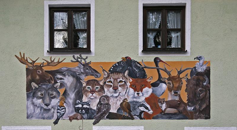 Bayerwald Tierpark_04.jpg